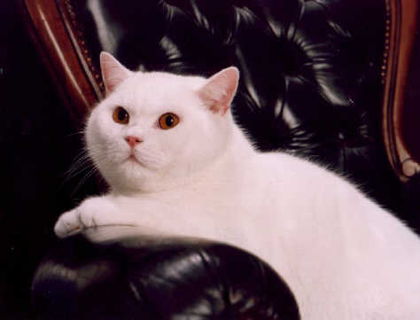 Charles