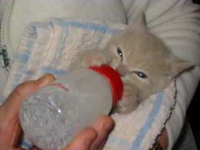Clyde with bottle