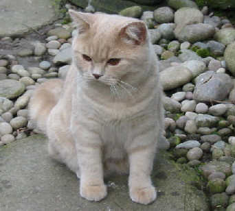 Erik