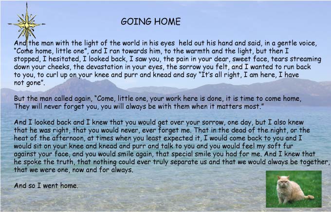 Going_Home_Murdo