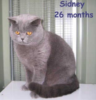 Sidney 26 months